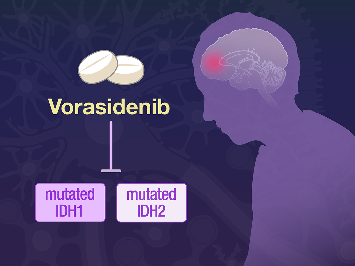 vorasidenib 获得 FDA 和 EMA 治疗 IDH 突变弥漫性胶质瘤的监管备案批准