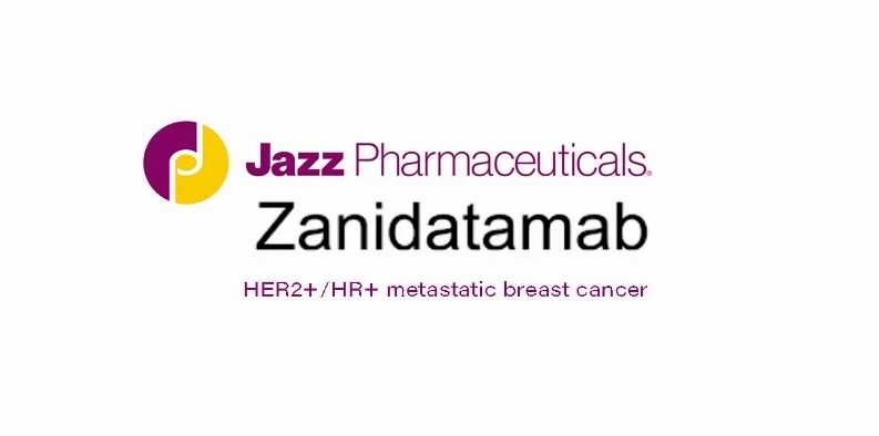 针对HER2阳性胆道癌的HER2靶向治疗药物 Zanidatamab 获 FDA 优先审评