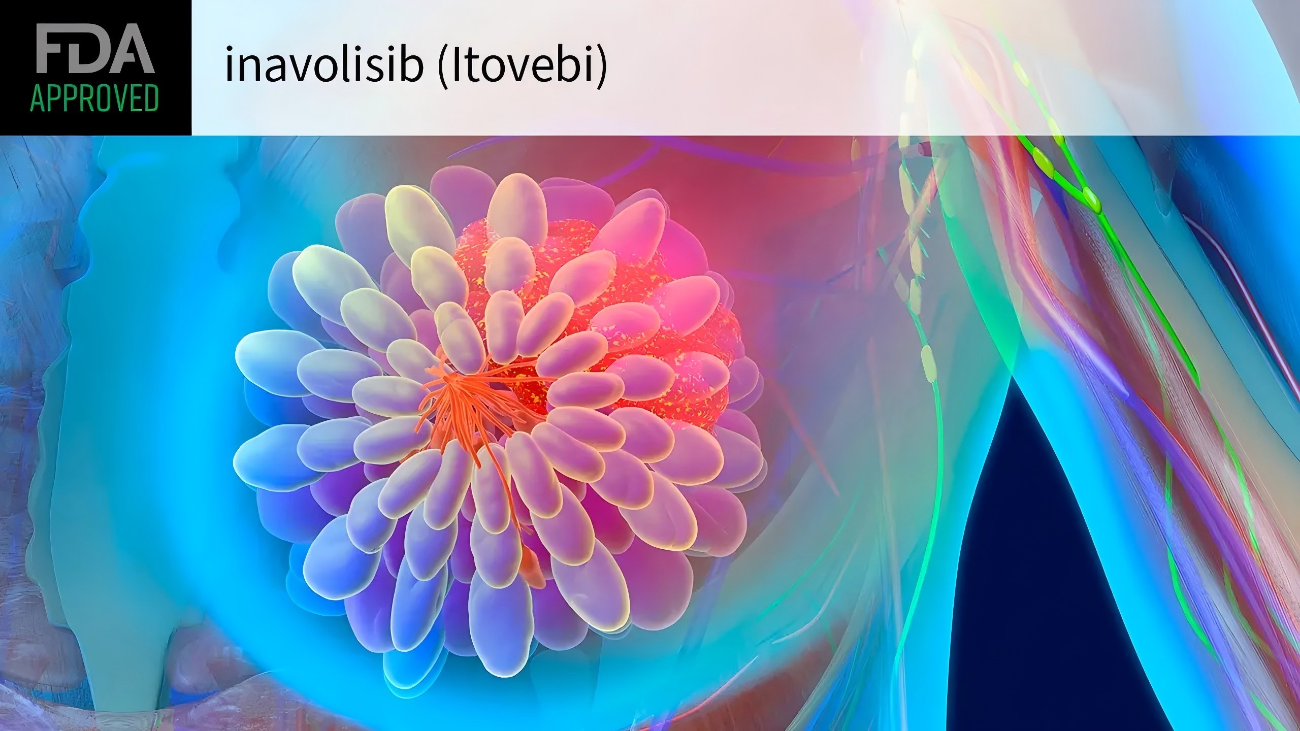 FDA批准小分子疗法 Itovebi 联合 Ibrance、氟维司群治疗乳腺癌